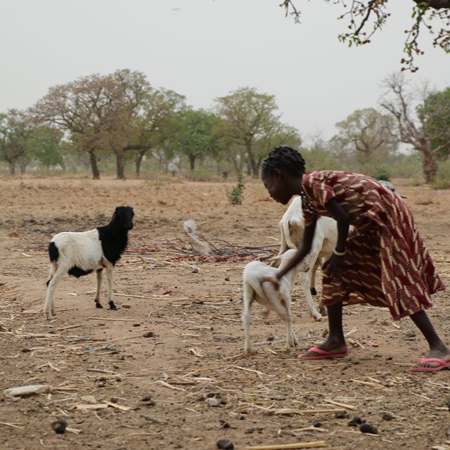  Strømmestiftelsen viderefører «A Better Life Foundation» sitt engasjement i Burkina Faso.