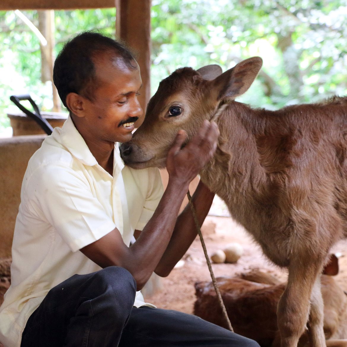 2022-sri-lanka-wdf-melkebonden-vinod-foto-egil-mongstad-(1)