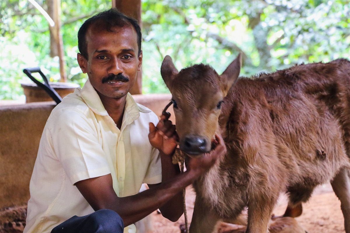 2022-sri-lanka-wdf-melkebonden-vinod-foto-egil-mongstad-(2)