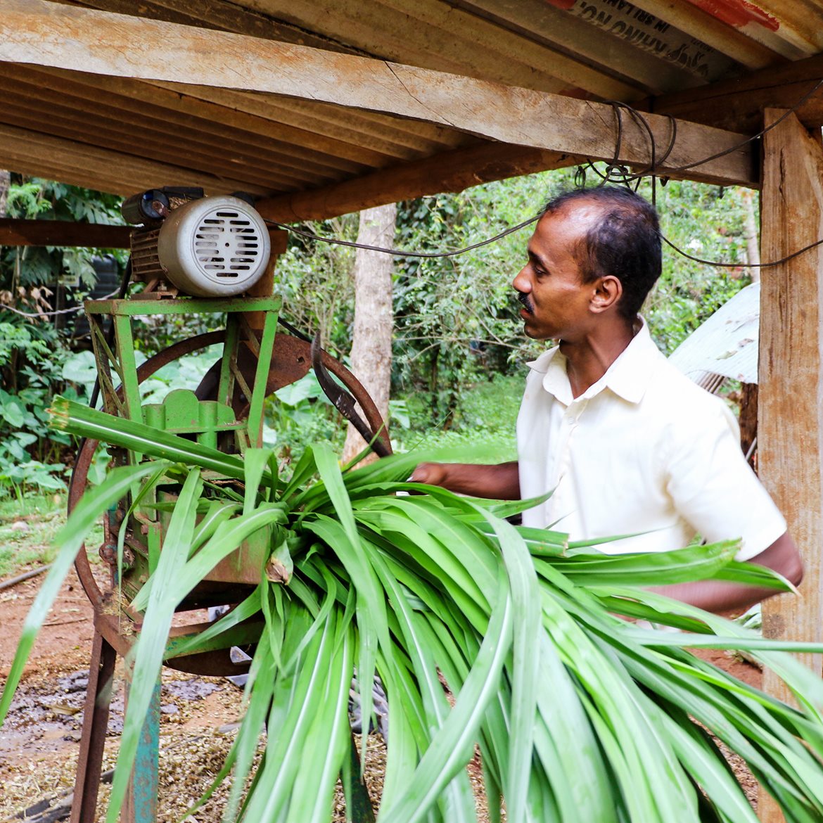 2022-sri-lanka-wdf-melkebonden-vinod-foto-egil-mongstad-(4)