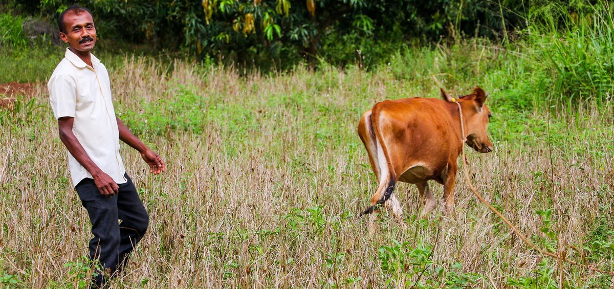 2022-sri-lanka-wdf-melkebonden-vinod-foto-egil-mongstad-(5)