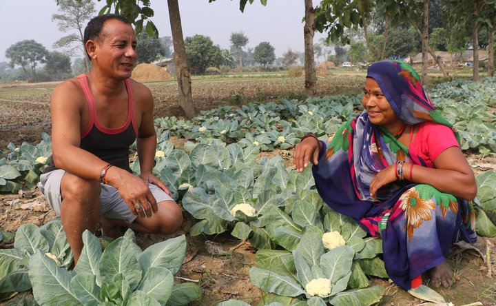 2019 vegetable growers in Nepal