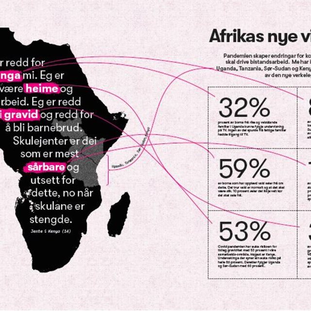 Afrikas nye verkelegheit