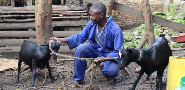 uganda-covoid-vocational-skill-andrew-muhumuza-and-his-goats