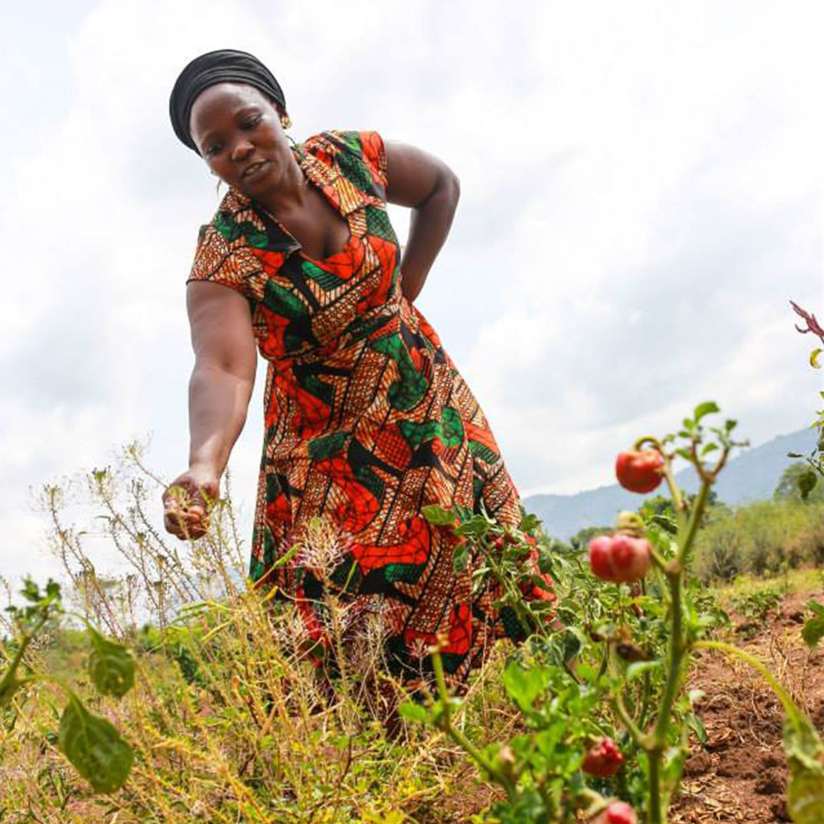 uganda-woman-farmer